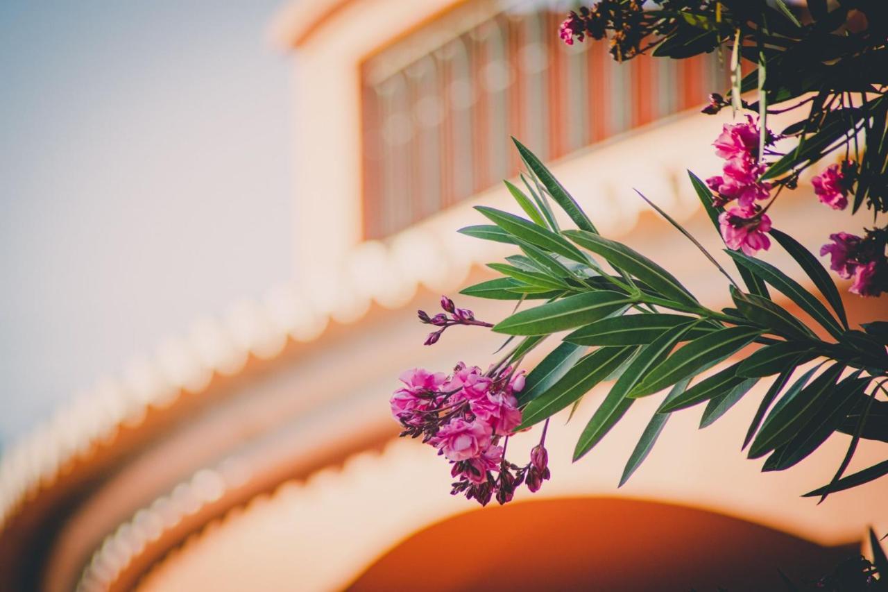 Quinta Da Falfeira Lagos Dış mekan fotoğraf